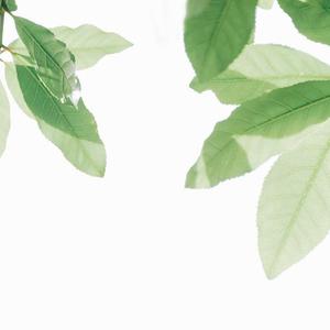 男人边摸边挵进去呻吟gif
